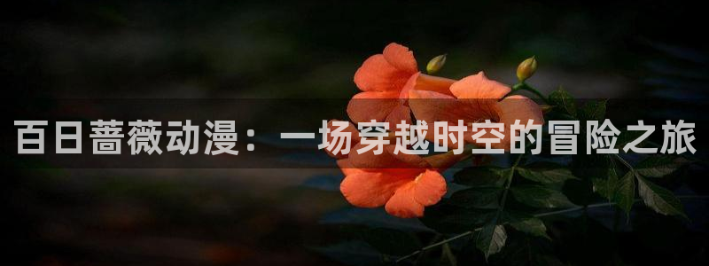 里番动画吧：百日蔷薇动漫：一场穿越时空的冒险之旅