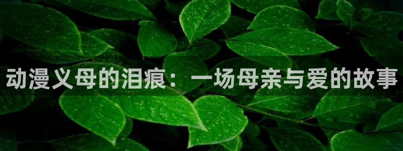 3d里番漫画网：动漫义母的泪痕：一场母亲与爱的故事