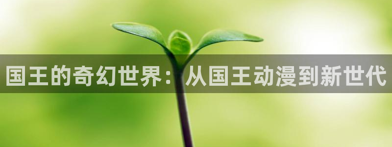 动漫里番合集：国王的奇幻世界：从国王动漫到新世代