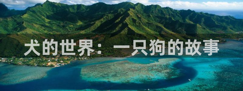 有哪些里番