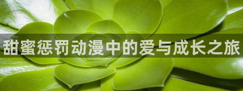 里番动漫网免费观看