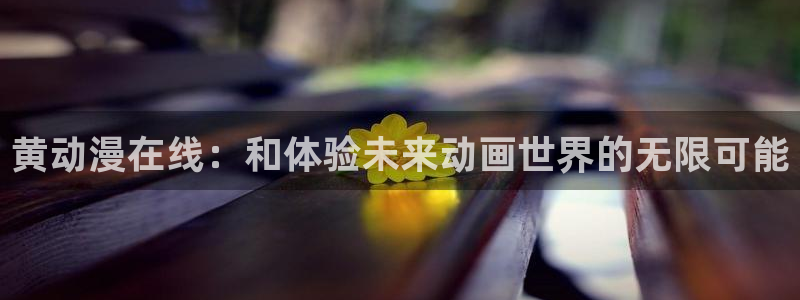 动漫里番免费观看