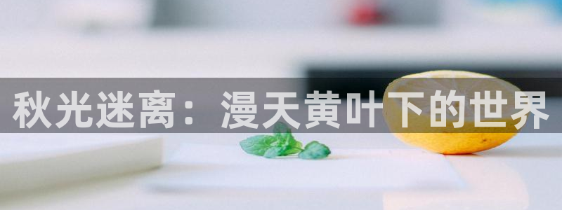 好看的里番推荐：秋光迷离：漫天黄叶下的世界