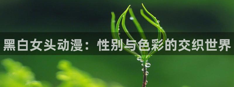 里番动漫观看：黑白女头动漫：性别与色彩的交织世界