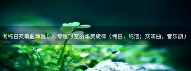里番库漫画在线观看：《纯白交响曲动漫》：穿越时空的华美旋律（纯白，纯洁；交响曲，音乐剧）