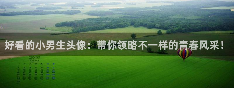 经典里番动漫推荐：好看的小男生头像：带你领略不一样的青春风采！