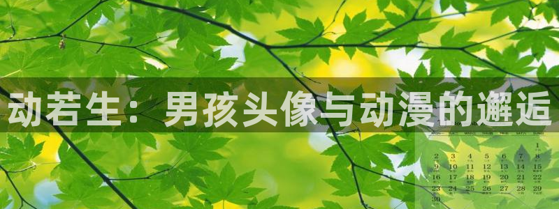 雷火剑里番动漫：动若生：男孩头像与动漫的邂逅