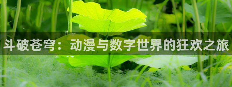里番动漫在哪里看：斗破苍穹：动漫与数字世界的狂欢之旅