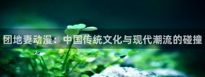 工口本子里番漫画：团地妻动漫：中国传统文化与现代潮流的碰撞