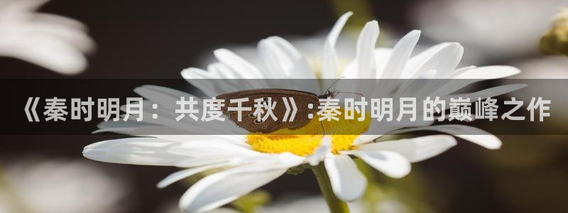 好看里番动漫：《秦时明月：共度千秋》:秦时明月的巅峰之作