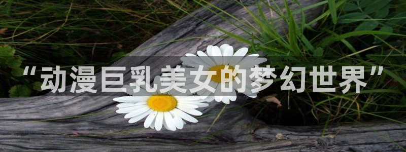 里番动漫在线免费观看：“动漫巨乳美女的梦幻世界”