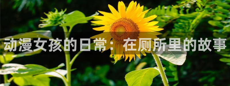 里番工口本子漫画：动漫女孩的日常：在厕所里的故事