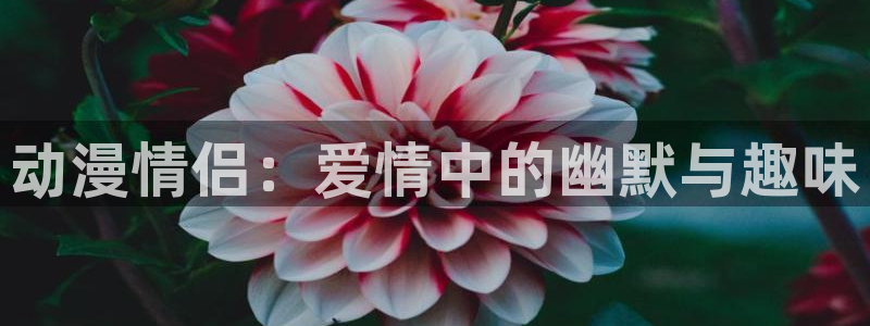里番经典：动漫情侣：爱情中的幽默与趣味
