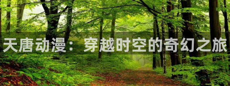 动漫里番在线观看网址：天唐动漫：穿越时空的奇幻之旅