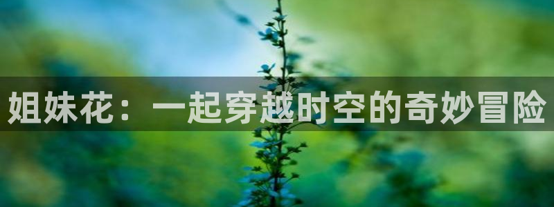 成人动漫里番在线：姐妹花：一起穿越时空的奇妙冒险