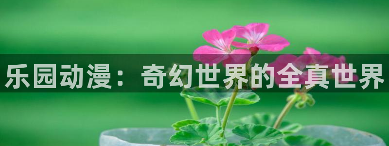 里番动漫网站：乐园动漫：奇幻世界的全真世界