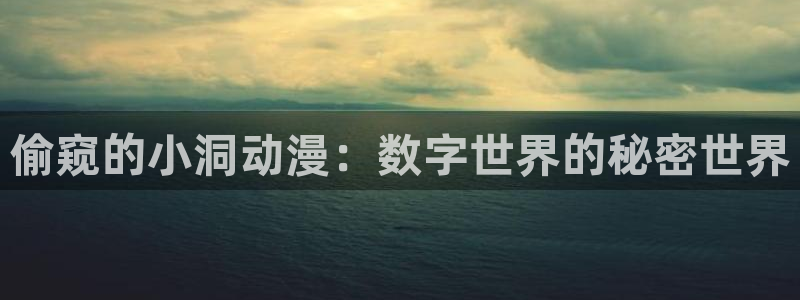 里番动漫我的妈妈：偷窥的小洞动漫：数字世界的秘密世界