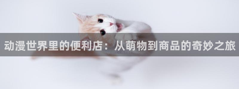 日本动画片里番：动漫世界里的便利店：从萌物到商品的奇妙之旅