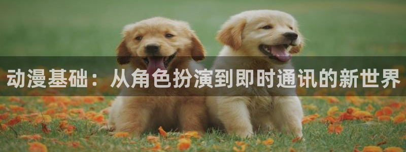精品里番：动漫基础：从角色扮演到即时通讯的新世界
